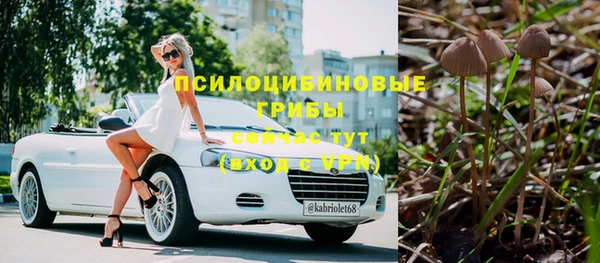 mdpv Гусев