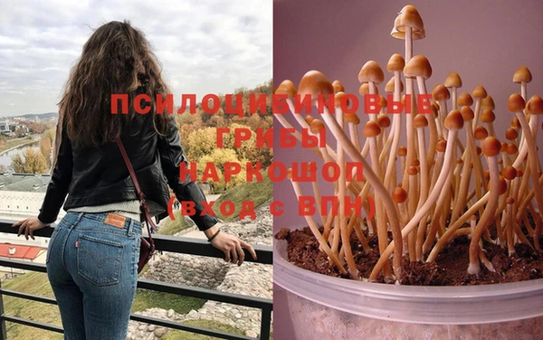 mdpv Гусев