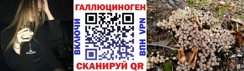 Псилоцибиновые грибы Psilocybe  Купить где  Байкальск 